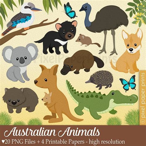 Australian Animals Clip Art Australia Clipart Digital Download Australian Animals Digital ...