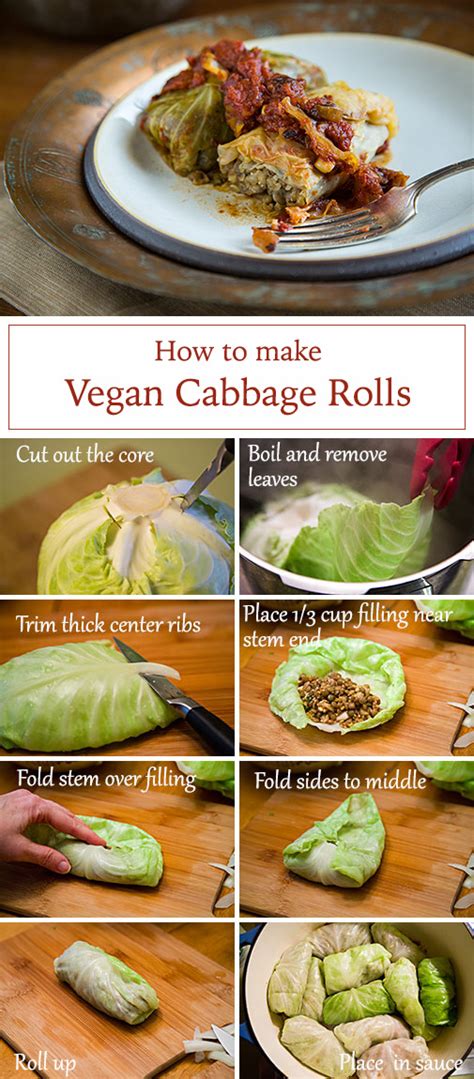 The Best Ideas for Vegetarian Cabbage Rolls Recipes – Best Diet and Healthy Recipes Ever ...