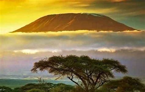 Climb Kilimanjaro With Our Expert Guides