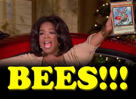 Oprah Meme Bees