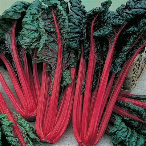 Swiss Chard Seeds - 'Ruby Red'