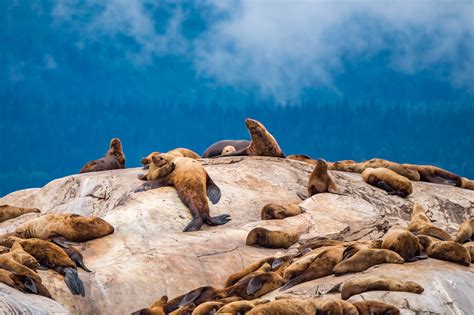 4 Ways Onto The Water In Glacier Bay National Park | HuffPost Life