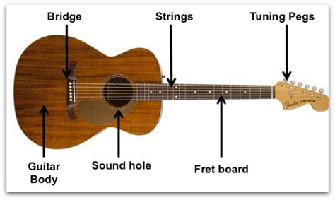 Overview of the 9 Guitar Types | National Guitar Academy