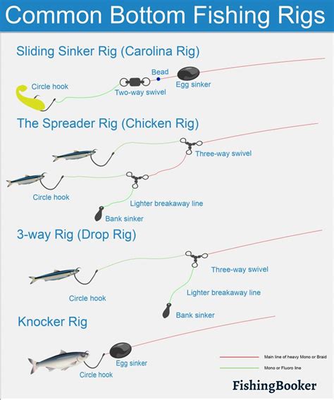 Bottom Fishing: The Complete Guide