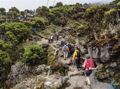 Climbing Kilimanjaro - Summit Mount Kilimanjaro