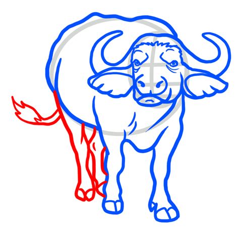 How to draw a Buffalo drawing – Easy guides - EASY TO DRAW EVERYTHING