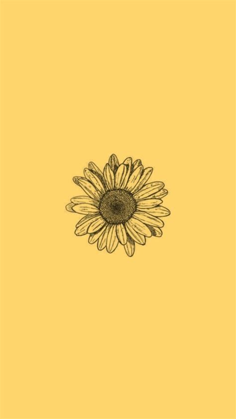 iPhone Aesthetic Sunflower Wallpaper Free Download