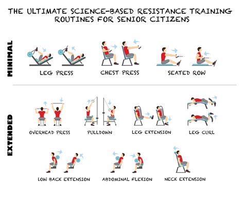 What Are The Best Strength Training Exercises For Seniors? - Greatsenioryears