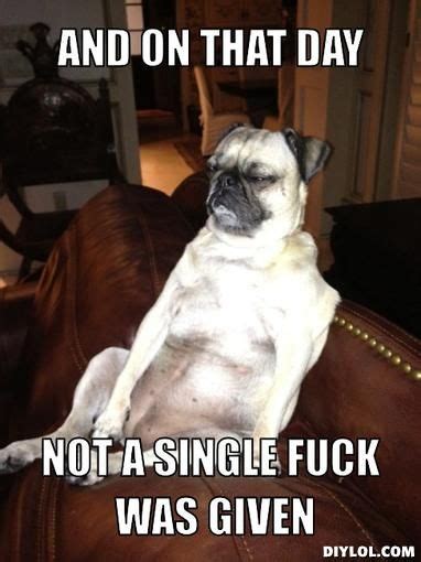 96 Meme's ideas | pug love, pug memes, pugs