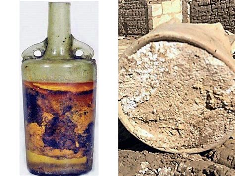 What Is The Oldest Wine Bottle – Best Pictures and Decription Forwardset.Com