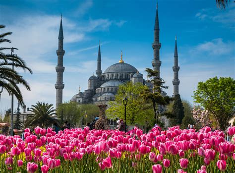 Blue Mosque - Istanbul Tour Studio – Istanbul Guide