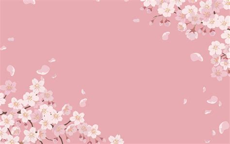 Floral Background With Cherry Blossoms In Full Bloom On A Pink Background. 1984279 Vector Art at ...