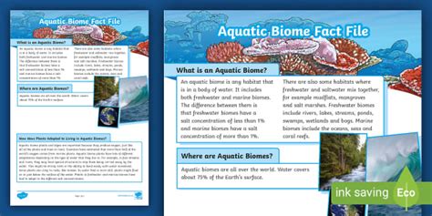 Aquatic Biome Fact File | Environments and Adaptations