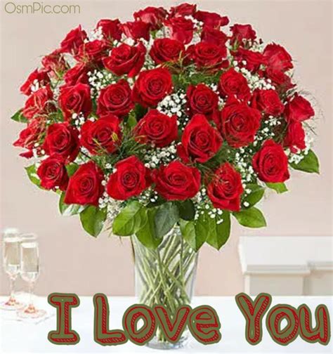 50 Most Beautiful I Love You Roses Images Pics Of Love Roses For Lovers