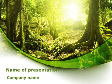 Jungle Forest PowerPoint Template, Backgrounds | 09472 | PoweredTemplate.com