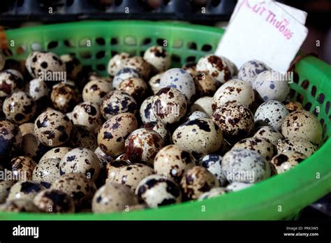 Small bird eggs for sale Stock Photo - Alamy