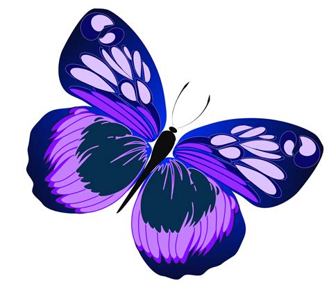 purple butterfly border clipart - Clipground