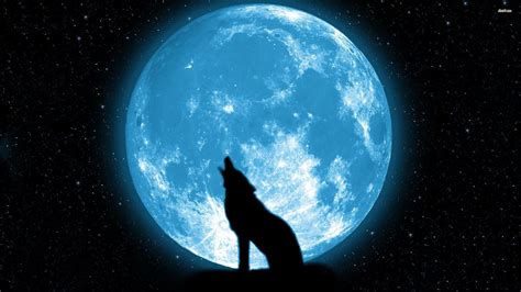 Wolf Howling at the Red Moon Wallpaper (62+ pictures)