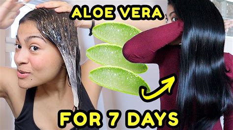 Top 48 image aloe vera gel for hair - Thptnganamst.edu.vn