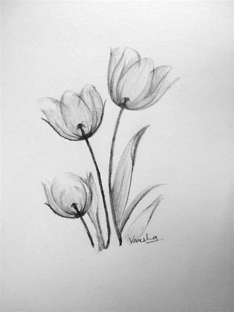 Pencil Shading Drawings Of Flowers