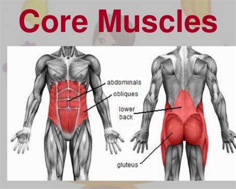 The Functions of Core Muscles - Deepstash