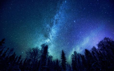 trees, Nature, Stars, Milky Way Wallpapers HD / Desktop and Mobile Backgrounds