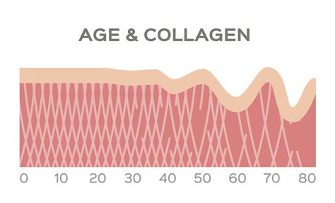 Best Collagen Creams 2020 - The Dermatology Review