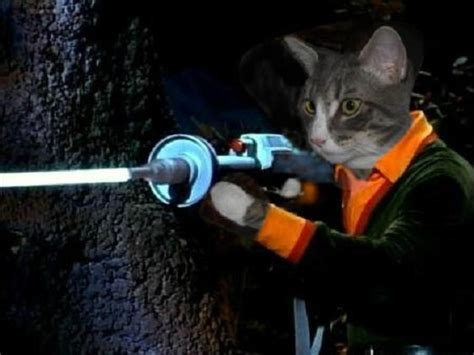 21 best images about Cat lasers on Pinterest | Posts, Pew pew pew and Target practice