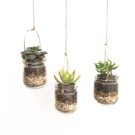 Hanging terrarium DIY terrarium kit succulent by ShopVerdure