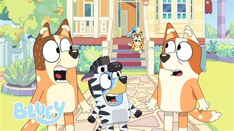 The Beauty of a 'Bluey' Episode About Infertility