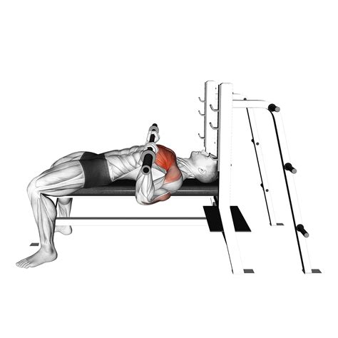 7 Best Barbell Bench Press Variations (with Pictures!) - Inspire US