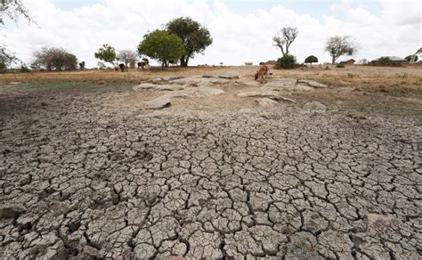 U.S. announces $524 million for Horn of Africa drought; Germany, UK also make pledges | PBS News