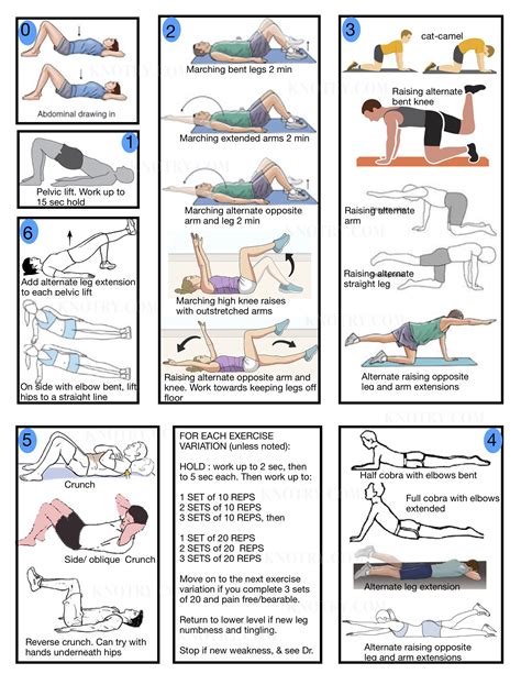 Exercise Plan for Chronic Back Pain — Knotry