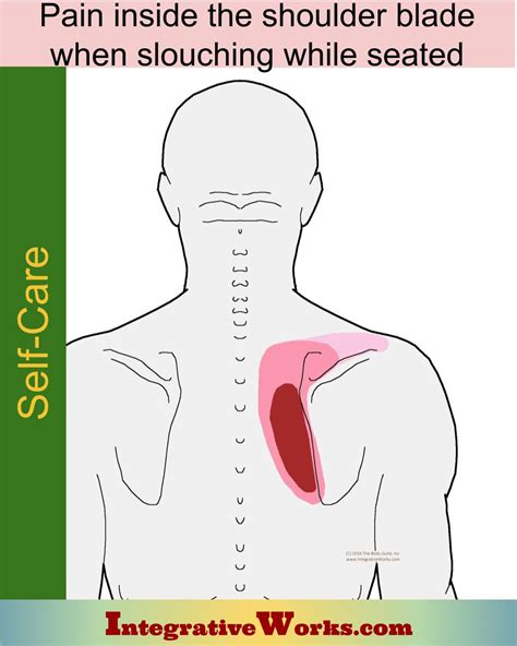 Self Care - Pain Between Shoulder Blades When Slouching - Integrative Works