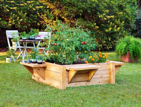 Raised Beds For Shade at Leonard Trivette blog