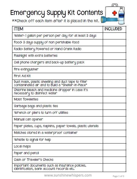 How to Make a Family Emergency Plan (with FREE Printable Checklist) - Sunshine Whispers