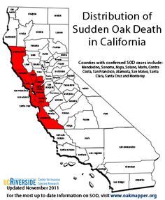 Sudden Oak Death on Pinterest | Death, Sonoma County and Oregon State University