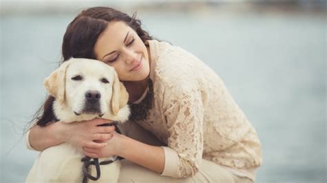 Hugging your dog makes it stressed? | CBC News