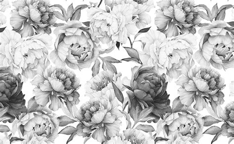 Bold Floral Pattern for Walls. Clara Black & White, Simple White Floral HD wallpaper | Pxfuel