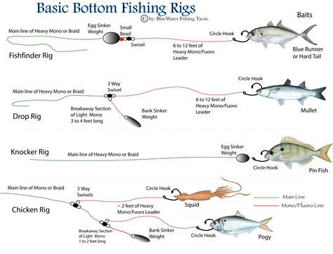 fishing rig diagrams | Bottom fishing rigs, Bottom fishing, Fishing rigs