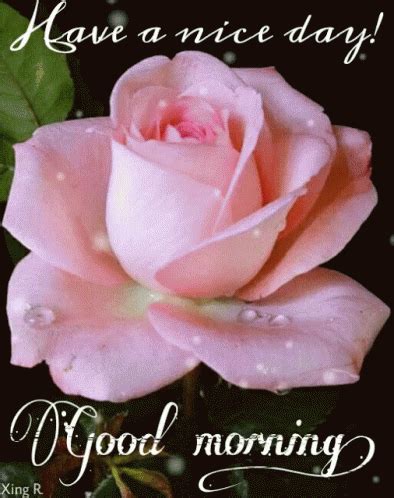 Good Morning Have ANice Day GIF - GoodMorning HaveANiceDay Rose - Discover & Share GIFs