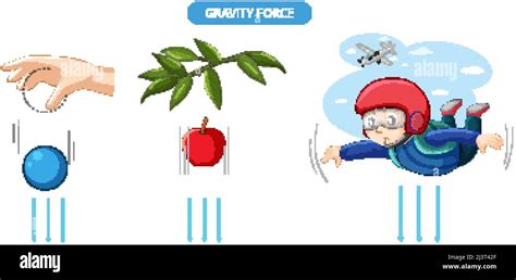 Gravity force experiment example illustration Stock Vector Image & Art - Alamy