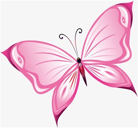 Butterfly Png Transparent Pink - Butterfly Mania