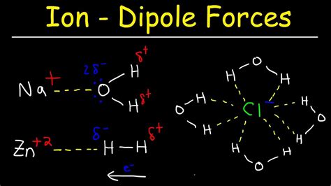 Ion Dipole Examples Of Molecules