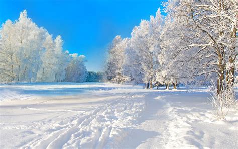 Pretty White Winter Wallpapers - Wallpaper Cave