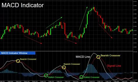 How to Use a MACD Indicator in Olymp Trade? Tutorial for Beginners