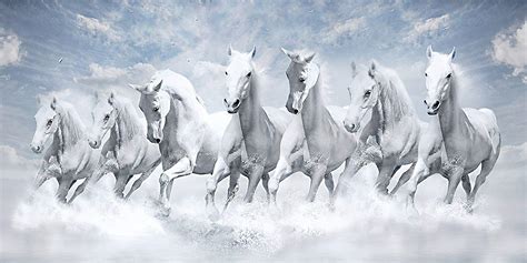 73+ Wallpaper Hd 1080p White Horse Picture - MyWeb