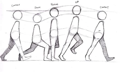 3D Character Animation: Basic Walk Cycle