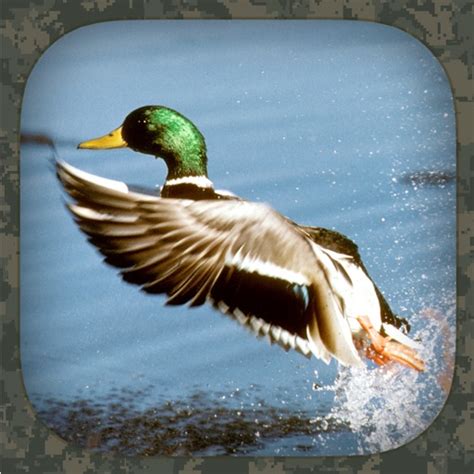 Duck Hunting Calls by Pico Brothers