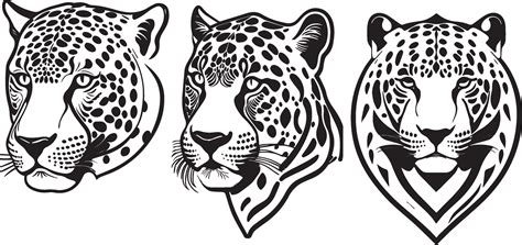 Black Jaguar's Head Silhouette Vector Art 25210456 Vector Art at Vecteezy